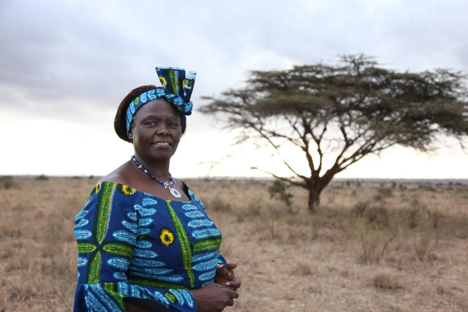Wangari Maathai